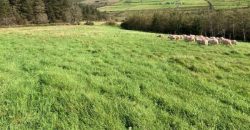 C.23.5 Acres Glannaheera/Tullig, Annascaul, Co. Kerry