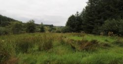 Knockeenagoshil, Cordal, Castleisland, Co. Kerry €70,000