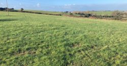 C.40 Acres Cloonafineela, Kilflynn, Co. Kerry