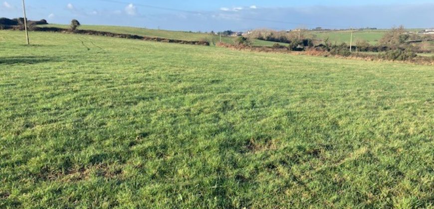 C.40 Acres Cloonafineela, Kilflynn, Co. Kerry