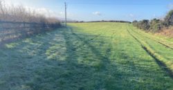 C.40 Acres Cloonafineela, Kilflynn, Co. Kerry