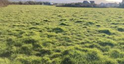 C.11 Acres to Lease Bawnboy, Tralee