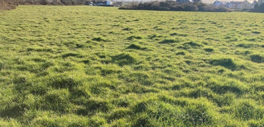 C.11 Acres to Lease Bawnboy, Tralee