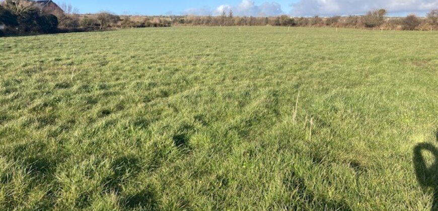 C.11 Acres to Lease Bawnboy, Tralee