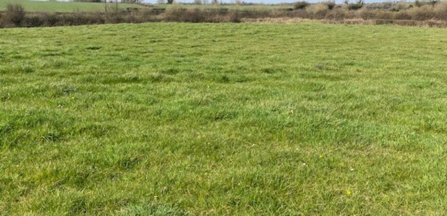 C.8 Acres Callow, Cappagh, Askeaton, Co. Limerick