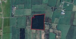 C.12.5 Acres of Forestry Gullane East, Astee, Co. Kerry