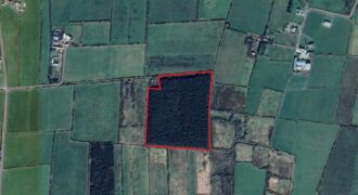 C.12.5 Acres of Forestry Gullane East, Astee, Co. Kerry