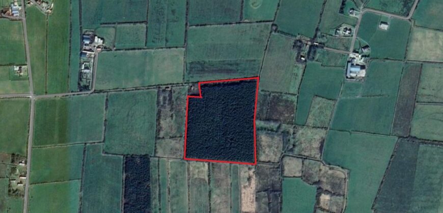 C.12.5 Acres of Forestry Gullane East, Astee, Co. Kerry