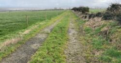 Sheepwalk, Ballyduff, Co.Kerry