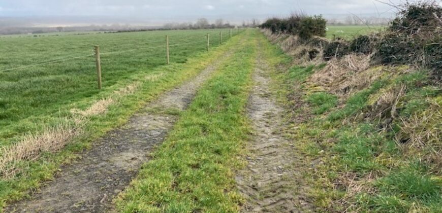Sheepwalk, Ballyduff, Co.Kerry