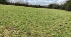 Pallas Hill, Drombane, Thurles, Co. Tipperary