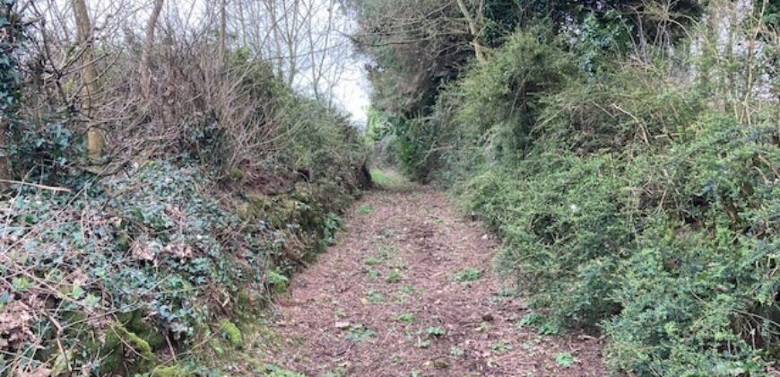 Pallas Hill, Drombane, Thurles, Co. Tipperary