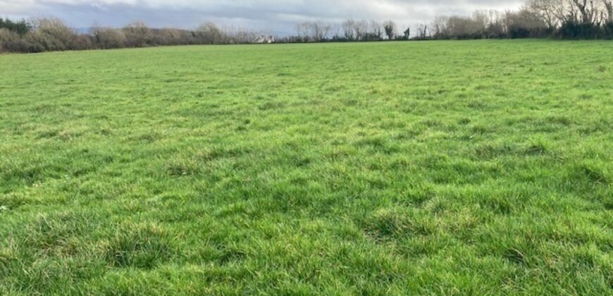 Sheepwalk, Ballyduff, Co.Kerry