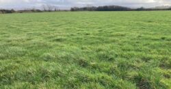 Sheepwalk, Ballyduff, Co.Kerry