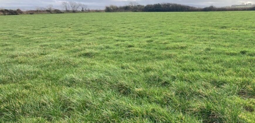 Sheepwalk, Ballyduff, Co.Kerry