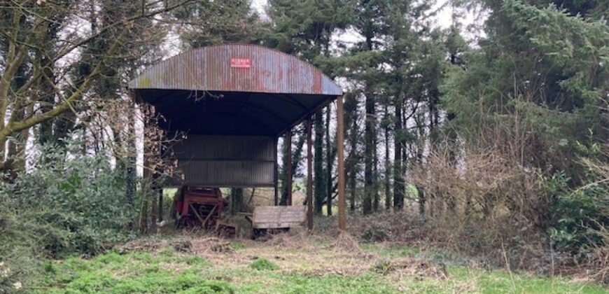 Pallas Hill, Drombane, Thurles, Co. Tipperary