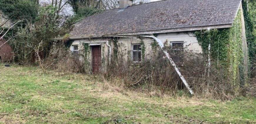 Pallas Hill, Drombane, Thurles, Co. Tipperary