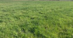 C. 74 ACRES (29.95Ha)  ARDAGH, CAUSEWAY / BALLYDUFF, CO.KERRY