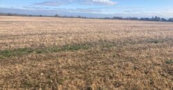 C. 74 ACRES (29.95Ha)  ARDAGH, CAUSEWAY / BALLYDUFF, CO.KERRY