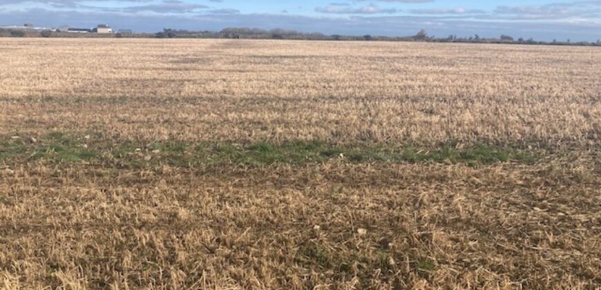 C. 74 ACRES (29.95Ha)  ARDAGH, CAUSEWAY / BALLYDUFF, CO.KERRY
