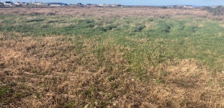 C. 74 ACRES (29.95Ha)  ARDAGH, CAUSEWAY / BALLYDUFF, CO.KERRY