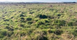 C. 74 ACRES (29.95Ha)  ARDAGH, CAUSEWAY / BALLYDUFF, CO.KERRY
