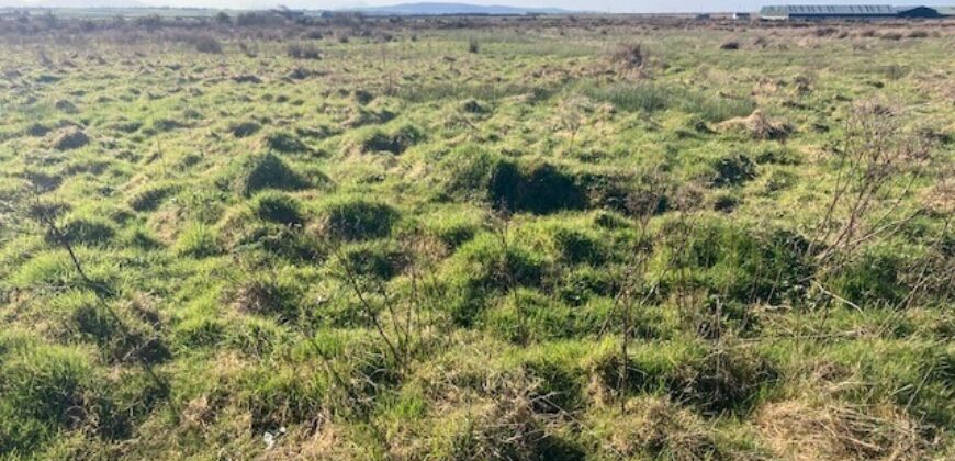 C. 74 ACRES (29.95Ha)  ARDAGH, CAUSEWAY / BALLYDUFF, CO.KERRY