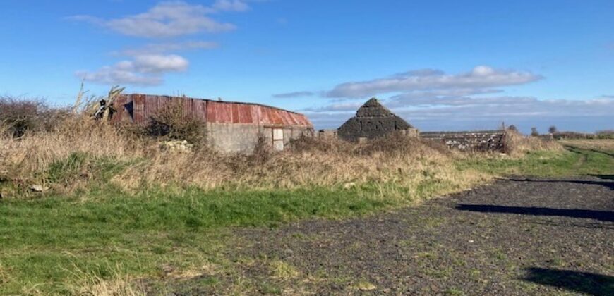 C. 74 ACRES (29.95Ha)  ARDAGH, CAUSEWAY / BALLYDUFF, CO.KERRY