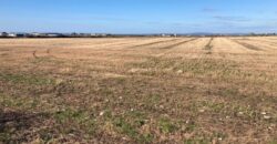 C. 74 ACRES (29.95Ha)  ARDAGH, CAUSEWAY / BALLYDUFF, CO.KERRY