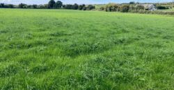 Rathkenny, Abbeydorney, Co.Kerry – c.32.45 acres (13.13 hectares)