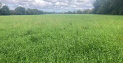 Rathkenny, Abbeydorney, Co.Kerry – c.32.45 acres (13.13 hectares)