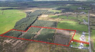 15.48 Acres Forestry – Listellick North, Tralee, Co. Kerry