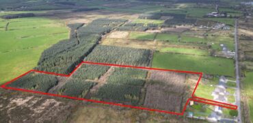 15.48 Acres Forestry – Listellick North, Tralee, Co. Kerry