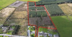15.48 Acres Forestry – Listellick North, Tralee, Co. Kerry