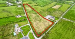5.82 Acres at Flemby, Ballymacelligott, Tralee, Co. Kerry