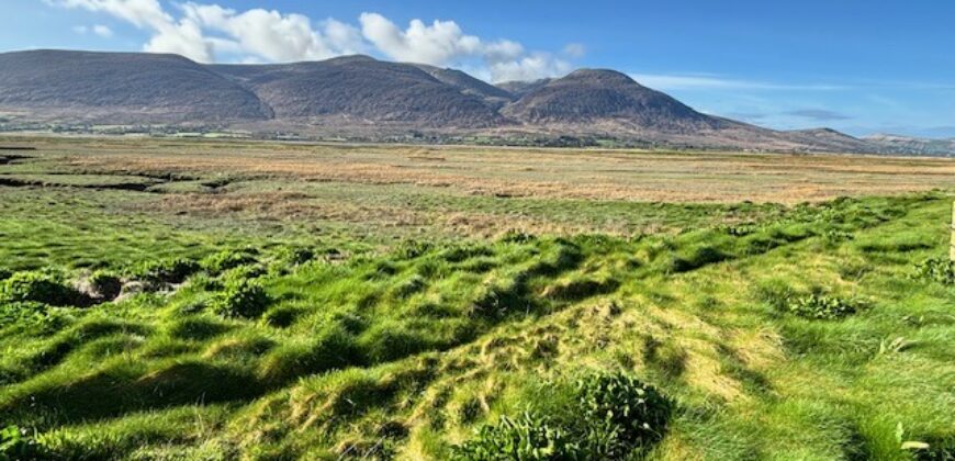 Derrymore Island Nature Reserve – 263 Acres (106ha)