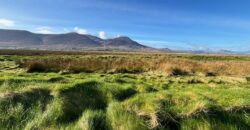 Derrymore Island Nature Reserve – 263 Acres (106ha)
