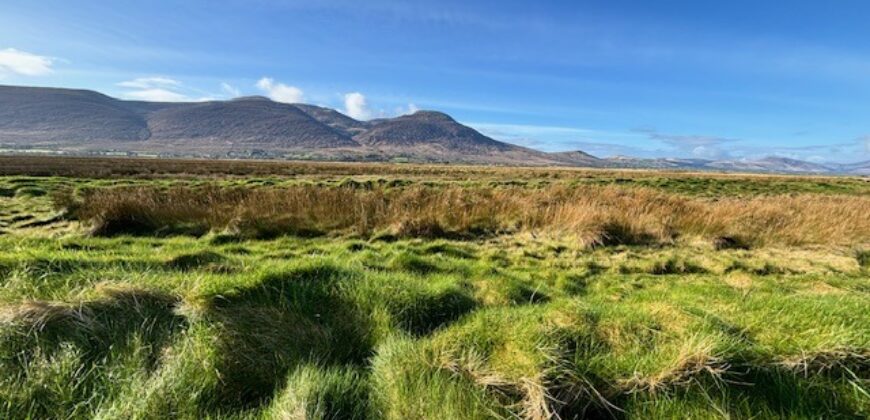 Derrymore Island Nature Reserve – 263 Acres (106ha)