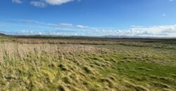 Derrymore Island Nature Reserve – 263 Acres (106ha)