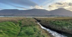 Derrymore Island Nature Reserve – 263 Acres (106ha)