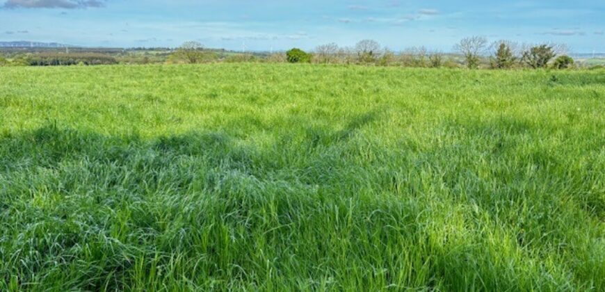 c17.83 Acres at Tarmons East, Tarbert, Co. Kerry