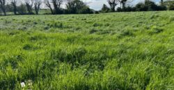 c17.83 Acres at Tarmons East, Tarbert, Co. Kerry