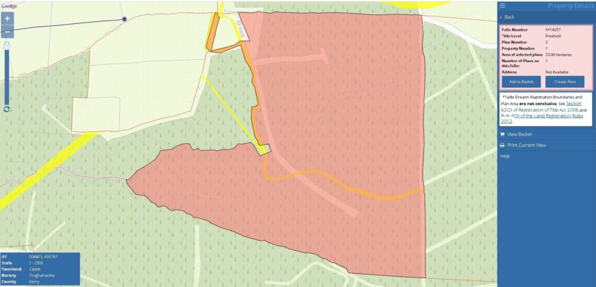 c.56 Acres of Forestry – Coom, Cordal, Co. Kerry